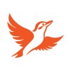 Senior Data Analyst image