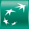 STDA Data Analyst image