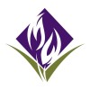 Quality Data Analyst 40hrs Days image
