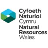 Environmental Data Analyst image