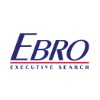 Data Engineer / Officer - Costing (Strong VBA / AC... image