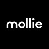 Senior Machine Learning Engineer image