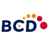 Big Data Engineer (Remote) image