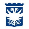 Data engineer image