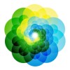 Junior Business Data Analyst image