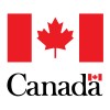 Senior Data Analyst image