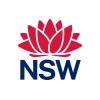 Senior Data Analyst image