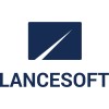 Business Data Analyst image