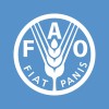 Data Analyst (Digital and Multimedia) image