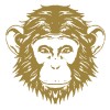Data Engineer image
