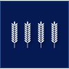 Data scientist Senior Banque / Assurance image