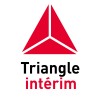 Data Analyst H/F image