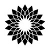 Senior Master Data Analyst image