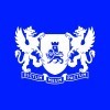 Data Analyst with European languages image