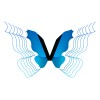 Data Scientist (Intermediate) image