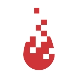 Data Scientist image