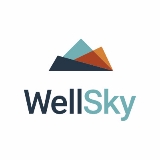 Sr. Data Engineer image