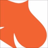 Data Analyst image