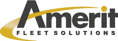 Data Analyst image