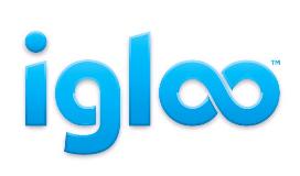 Igloo logo