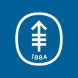 Data Scientist image