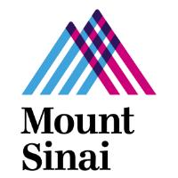 Lead Data Engineer - Mount Sinai Health Partners image