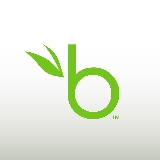 BambooHR logo