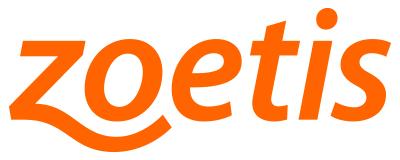 Business Analyst Data Engineer image