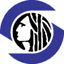 Senior Data Engineer image