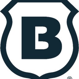 REMOTE-Senior Alteryx Data Analyst image