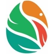 Data Engineer image