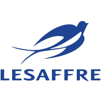 DATA ANALYST INTERN (F/M) image