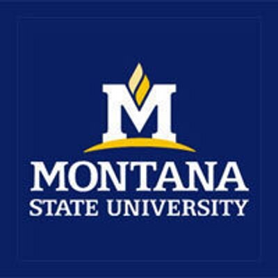 Montana State University logo